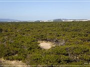 oregon_dunes_nra_04