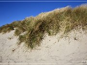 Oregon Dunes NRA