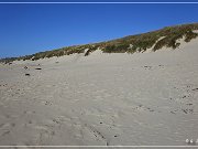Oregon Dunes NRA