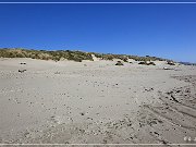 Oregon Dunes NRA