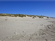 oregon_dunes_nra_08