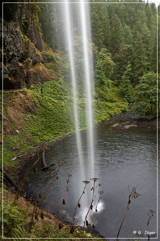 silver_falls_sp_04.jpg