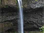 Silver Falls SP