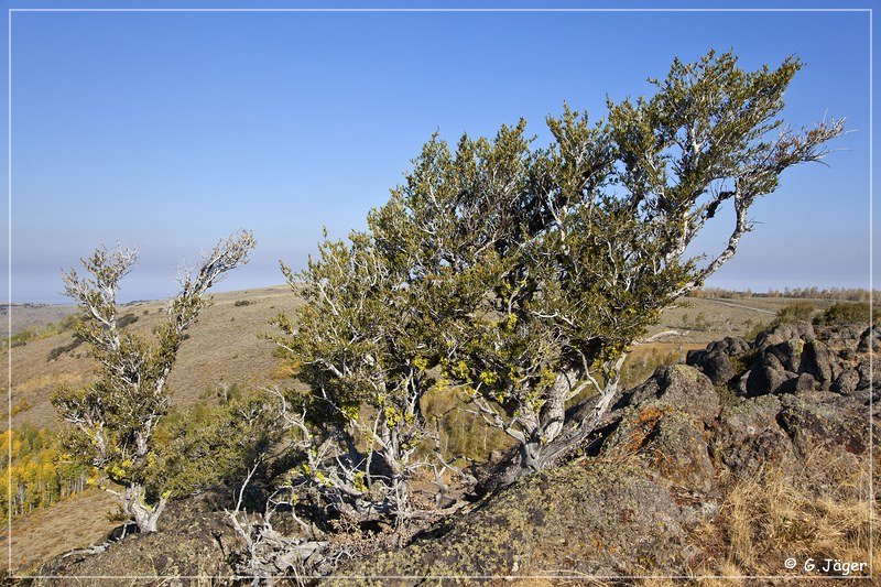 steens_mountain_10.jpg