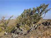 steens_mountain_10