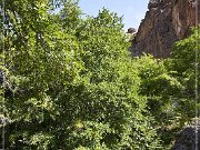 Succor Creek State Natural Area
