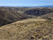 Deschutes River Canyon 2009