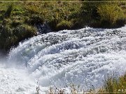 Deschutes River Canyon 2013