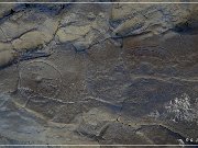 Castle Garden Petroglyphs