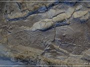 Castle Garden Petroglyphs