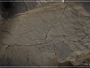 Castle Garden Petroglyphs