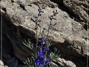 Gooseberry Badlands