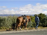 Cowboys