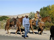 Cowboys