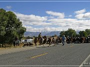 Cowboys