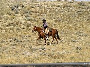 cowboys_wy_17