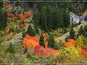 Great Canyon of the Snake River