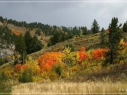 Great Canyon of the Snake River