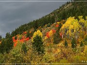 Great Canyon of the Snake River