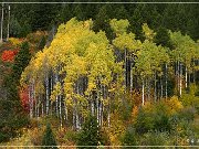 great_canyon_snake_river_13