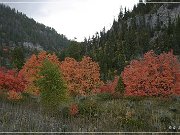 Great Canyon of the Snake River