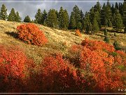 Great Canyon of the Snake River