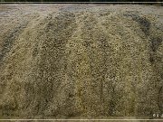 Hot Springs SP