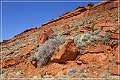 red_canyon_14
