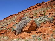 red_canyon_14