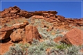 red_canyon_16