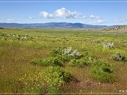 irish_canyon_petroglyphs_06