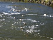 Beim Pathfinder Dam