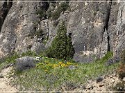 Ten Sleep Canyon