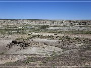 Skull Creek Rim