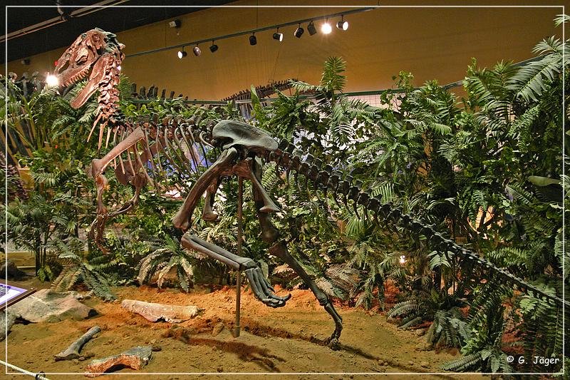 wyoming_dinosaur_center_09.jpg