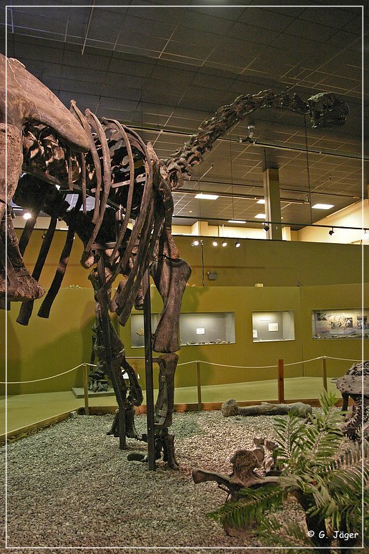 wyoming_dinosaur_center_13.jpg