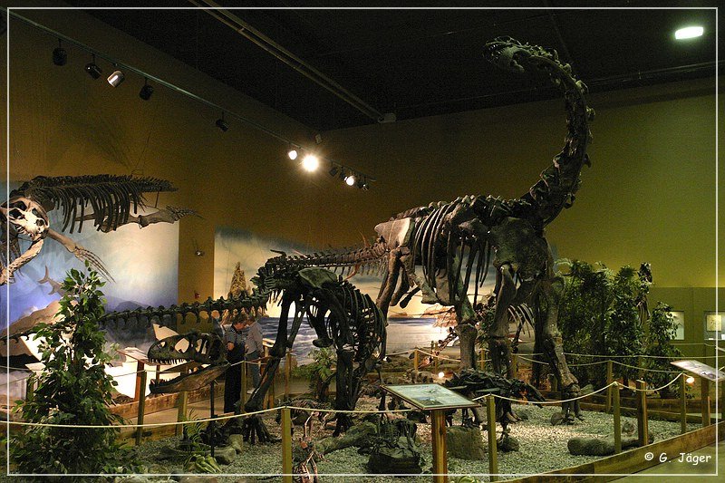 wyoming_dinosaur_center_14.jpg