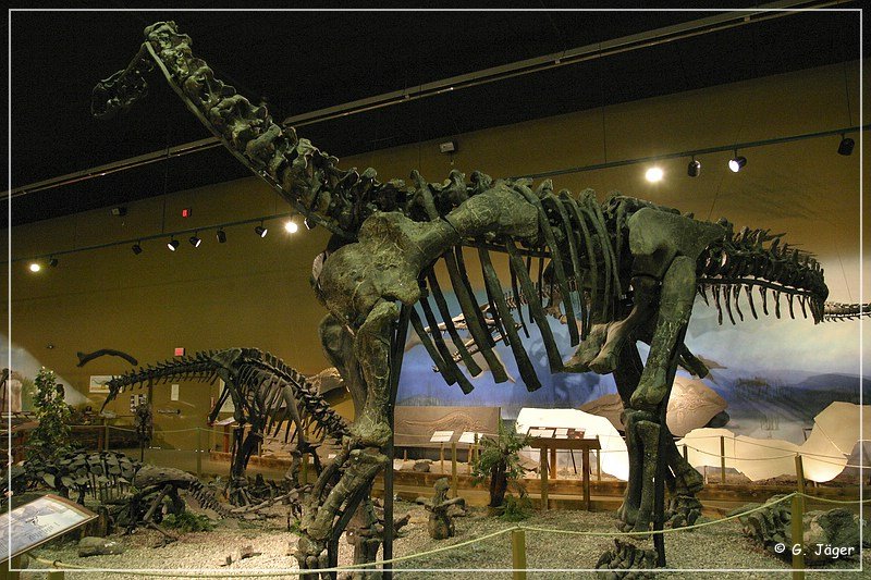 wyoming_dinosaur_center_15.jpg