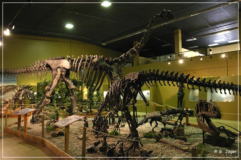 wyoming_dinosaur_center_16.jpg