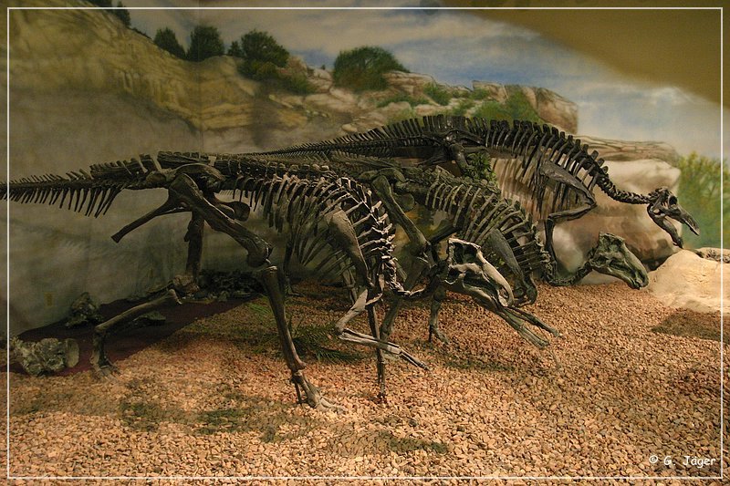 wyoming_dinosaur_center_26.jpg