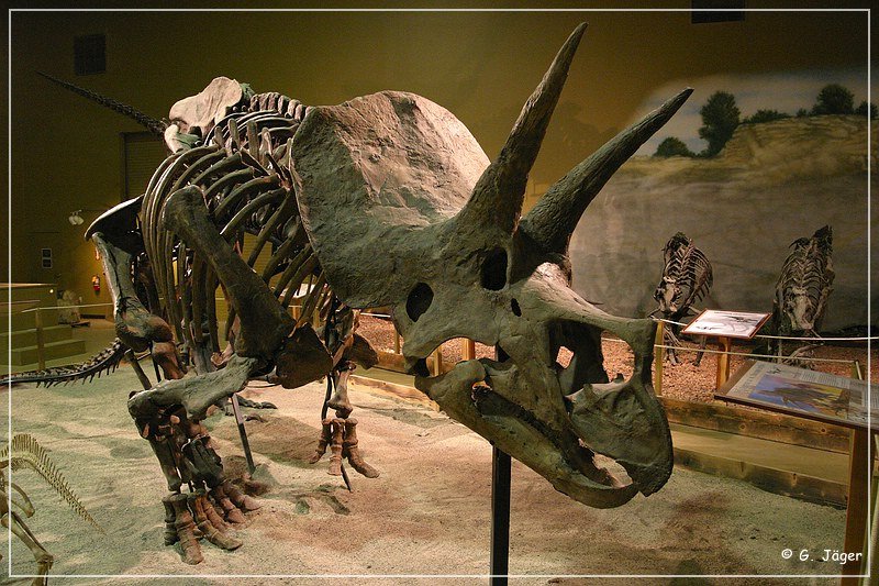 wyoming_dinosaur_center_28.jpg