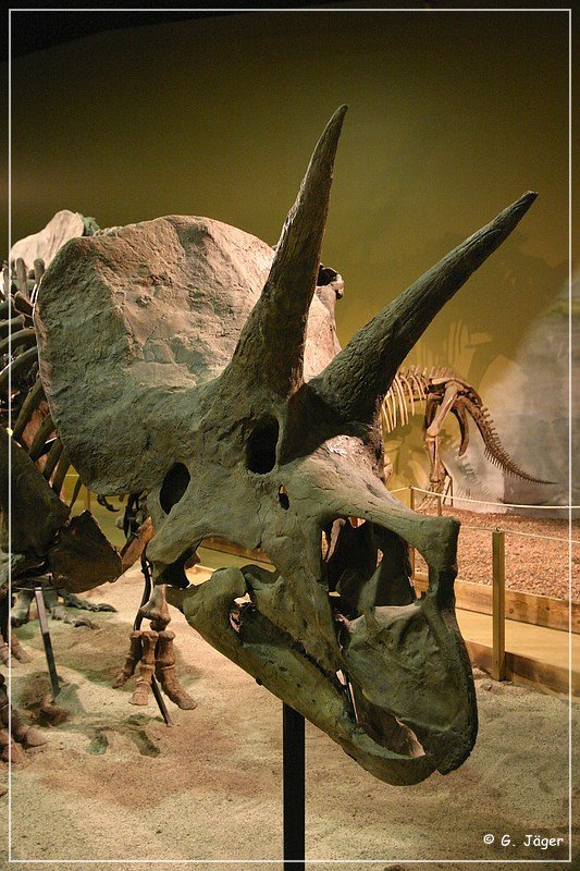 wyoming_dinosaur_center_29.jpg