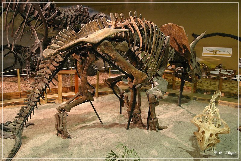 wyoming_dinosaur_center_30.jpg