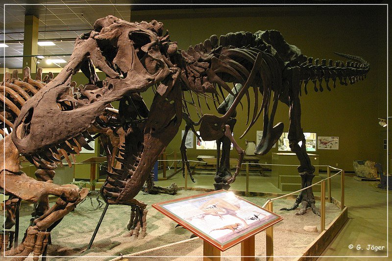 wyoming_dinosaur_center_32.jpg