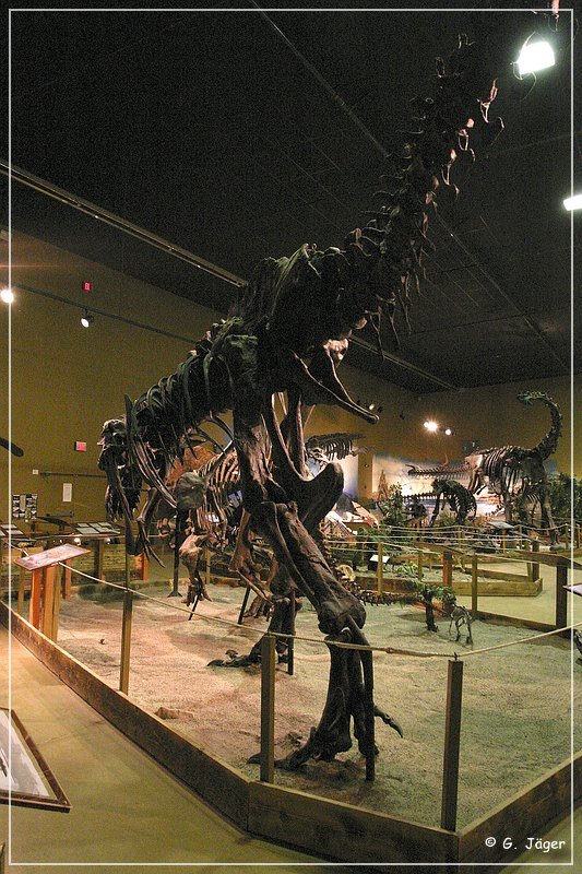 wyoming_dinosaur_center_35.jpg