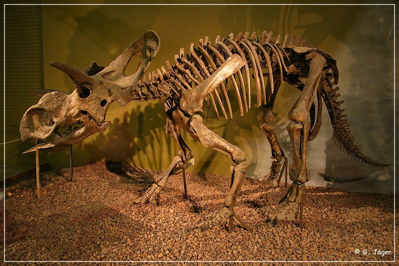 wyoming_dinosaur_center_36.jpg