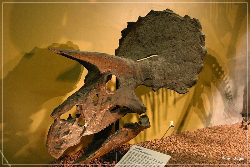 wyoming_dinosaur_center_37.jpg