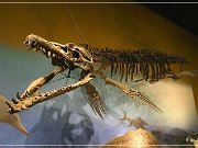 Wyoming Dinosaur Center