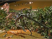 Wyoming Dinosaur Center