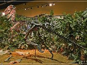 wyoming_dinosaur_center_09